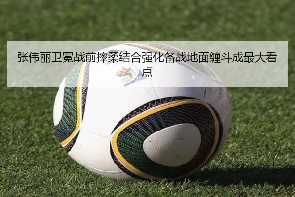 张伟丽卫冕战前摔柔结合强化备战地面缠斗成最大看点